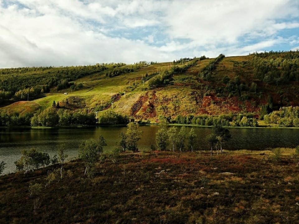 Vestvatn - Arctic Cabins Brekke  エクステリア 写真