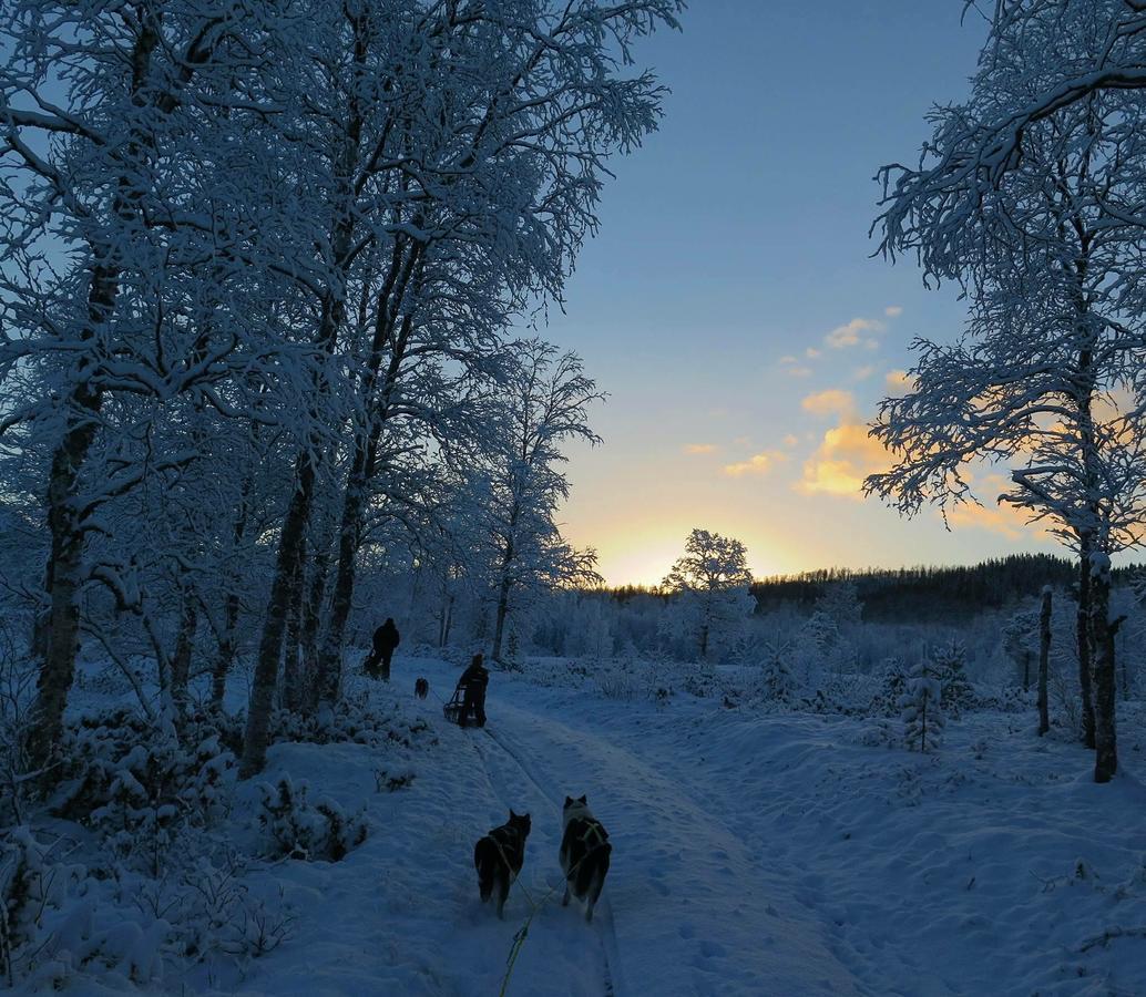 Vestvatn - Arctic Cabins Brekke  エクステリア 写真